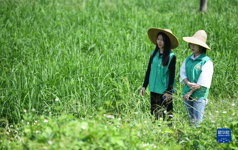 乐玩游戏下载官网